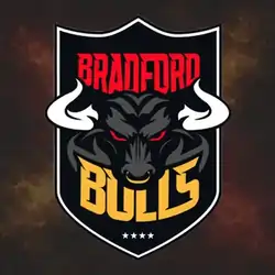 bradford bulls logo